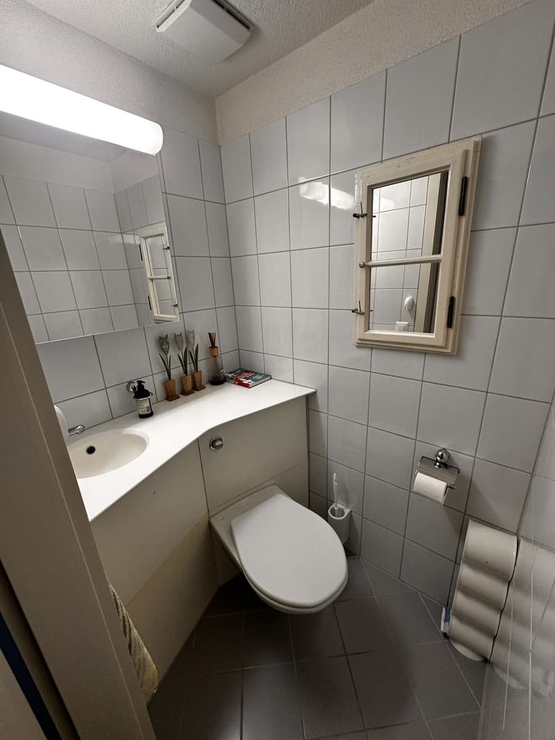 Möbliertes Zimmer in schöner 3½-Zimmer-Wohnung in Thalwil (8)