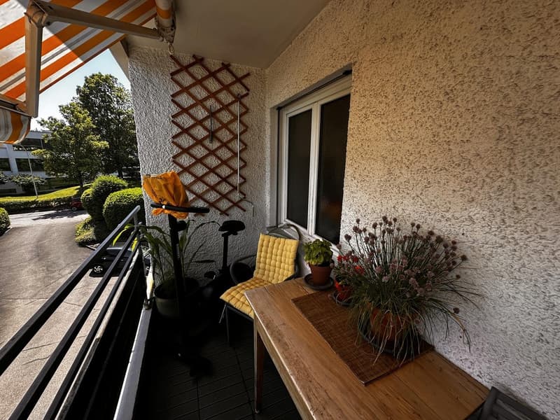 Möbliertes Zimmer in schöner 3½-Zimmer-Wohnung in Thalwil (5)