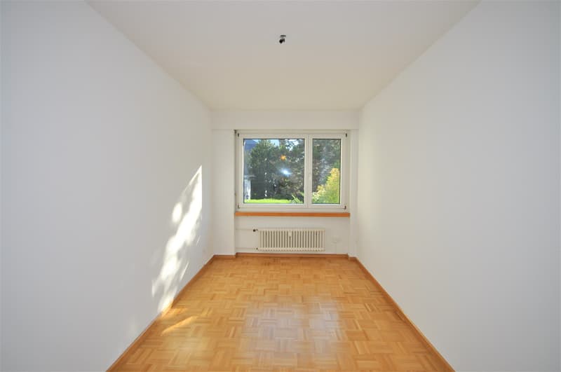 Schöne Wohnung beim Schützenmattpark (1)