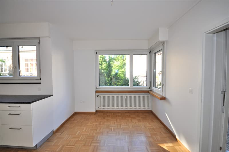 Schöne Wohnung beim Schützenmattpark (5)