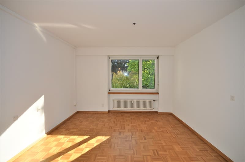 Schöne Wohnung beim Schützenmattpark (7)