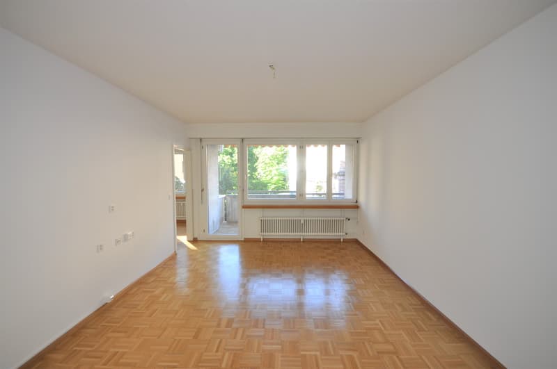 Schöne Wohnung beim Schützenmattpark (6)