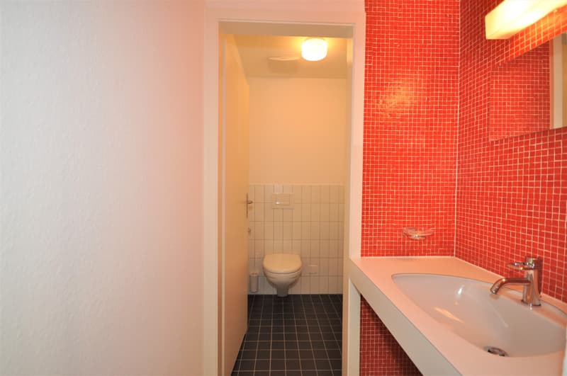 Schöne Wohnung beim Schützenmattpark (8)