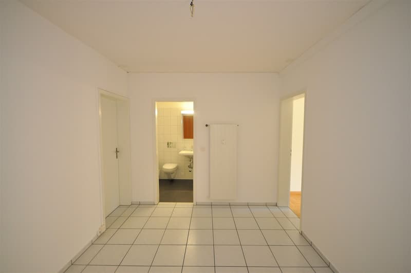 Schöne Wohnung beim Schützenmattpark (2)
