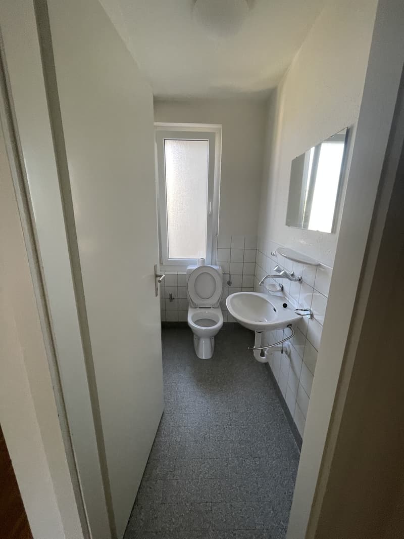 4.5 for rent in Thalwil family-friendly, close to train station (11)