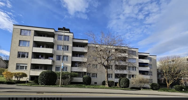 4.5 for rent in Thalwil family-friendly, close to train station (8)