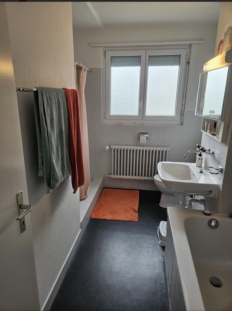 4.5 for rent in Thalwil family-friendly, close to train station (10)