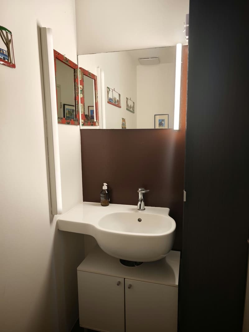 Schöne, sonnige, 3.5 Zi-Wohnung ab Jan für 9 Monate im Kreis 5, Zürich (8)