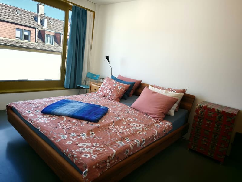 Schöne, sonnige, 3.5 Zi-Wohnung ab Jan für 9 Monate im Kreis 5, Zürich (6)