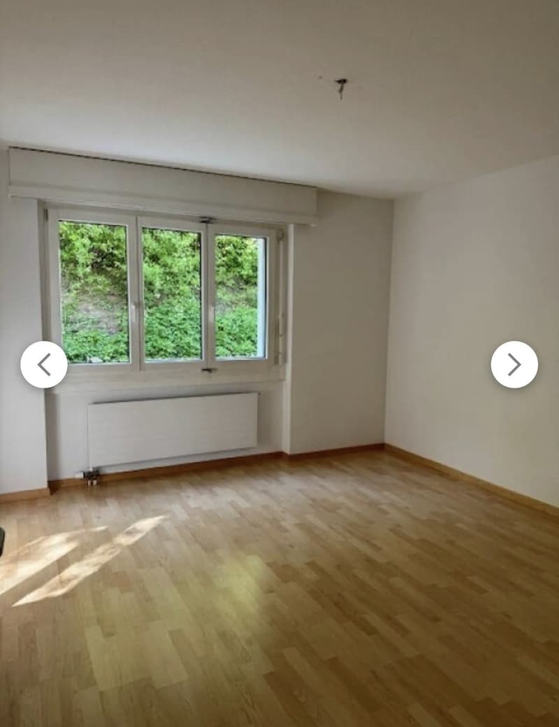 Nachmieter gesucht ab Januar 2027 (6)