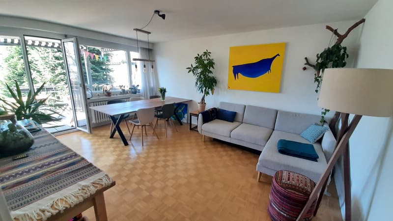 Möblierte Wohnung im Zentrum Luzern für 1 Jahr (1)