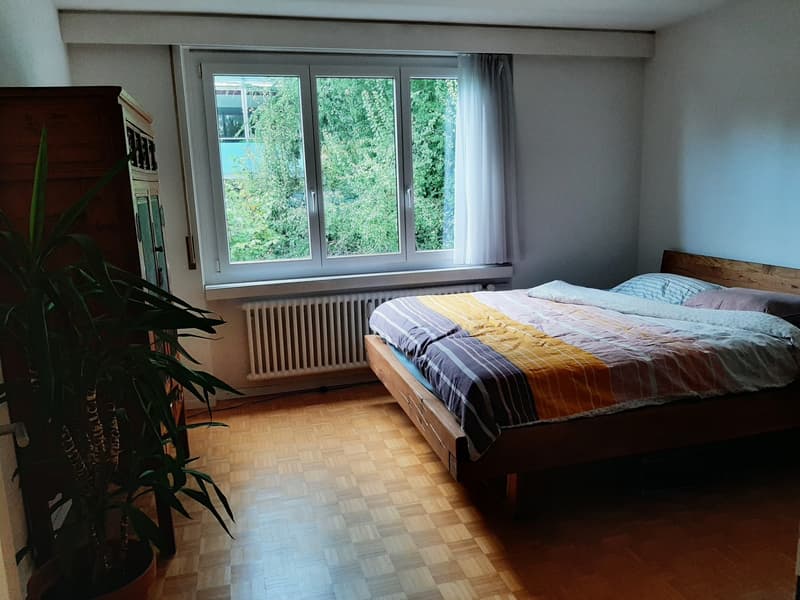 Möblierte Wohnung im Zentrum Luzern für 1 Jahr (5)