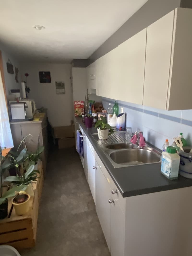 3 1/2 Zimmerwohnung (1)