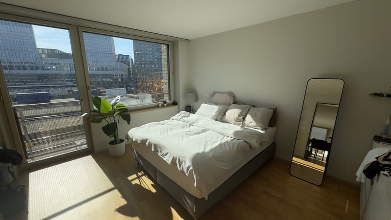 Furnished room on Zollstrasse, 2 min from Zurich HB (JanFeb) (3)