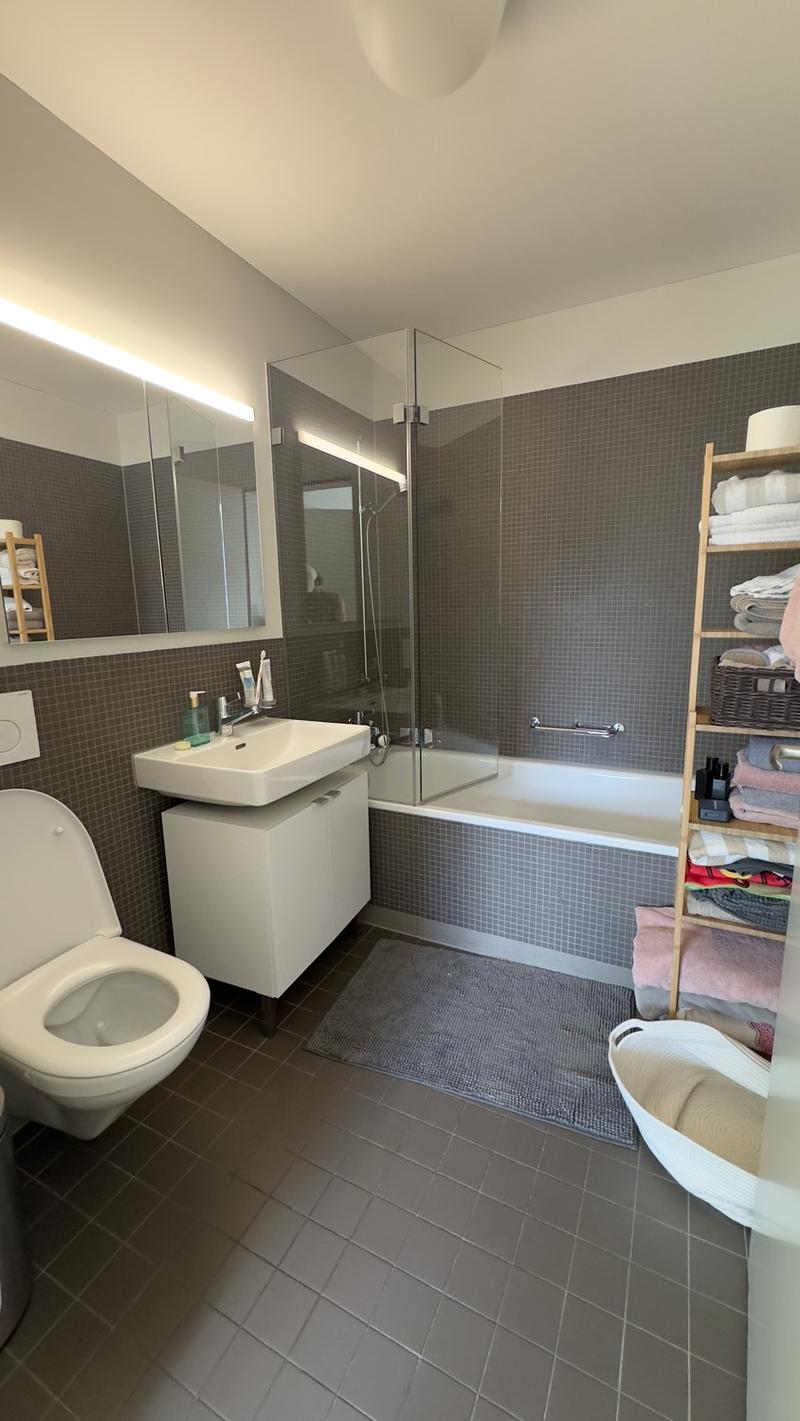 Furnished room on Zollstrasse, 2 min from Zurich HB (JanFeb) (4)