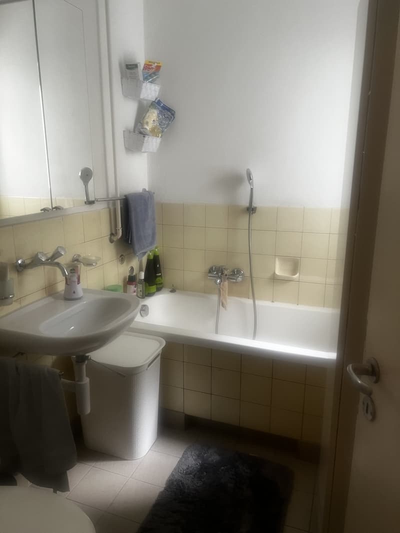 Möblierte Wohnung in Winterthur - zentral & komfortabel (2)