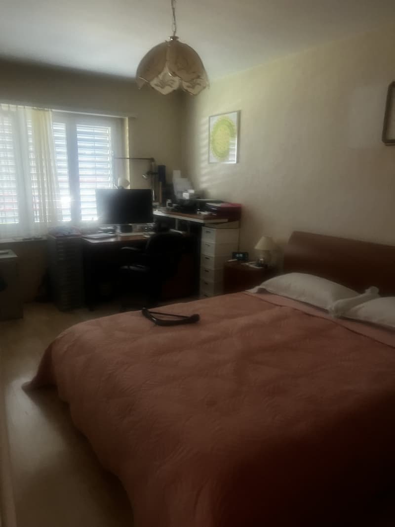 Möblierte Wohnung in Winterthur - zentral & komfortabel (3)