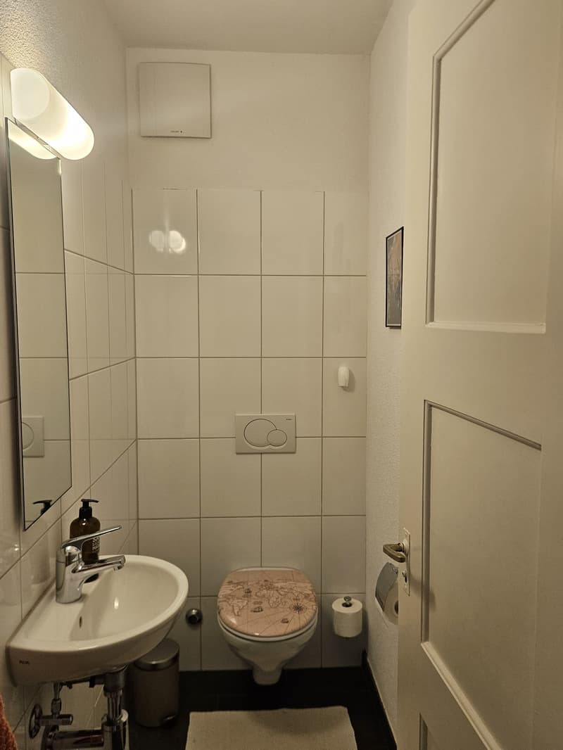 Charmante möblierte 2-Zimmer-Wohnung in Wiedikon zur Untermiete (9)
