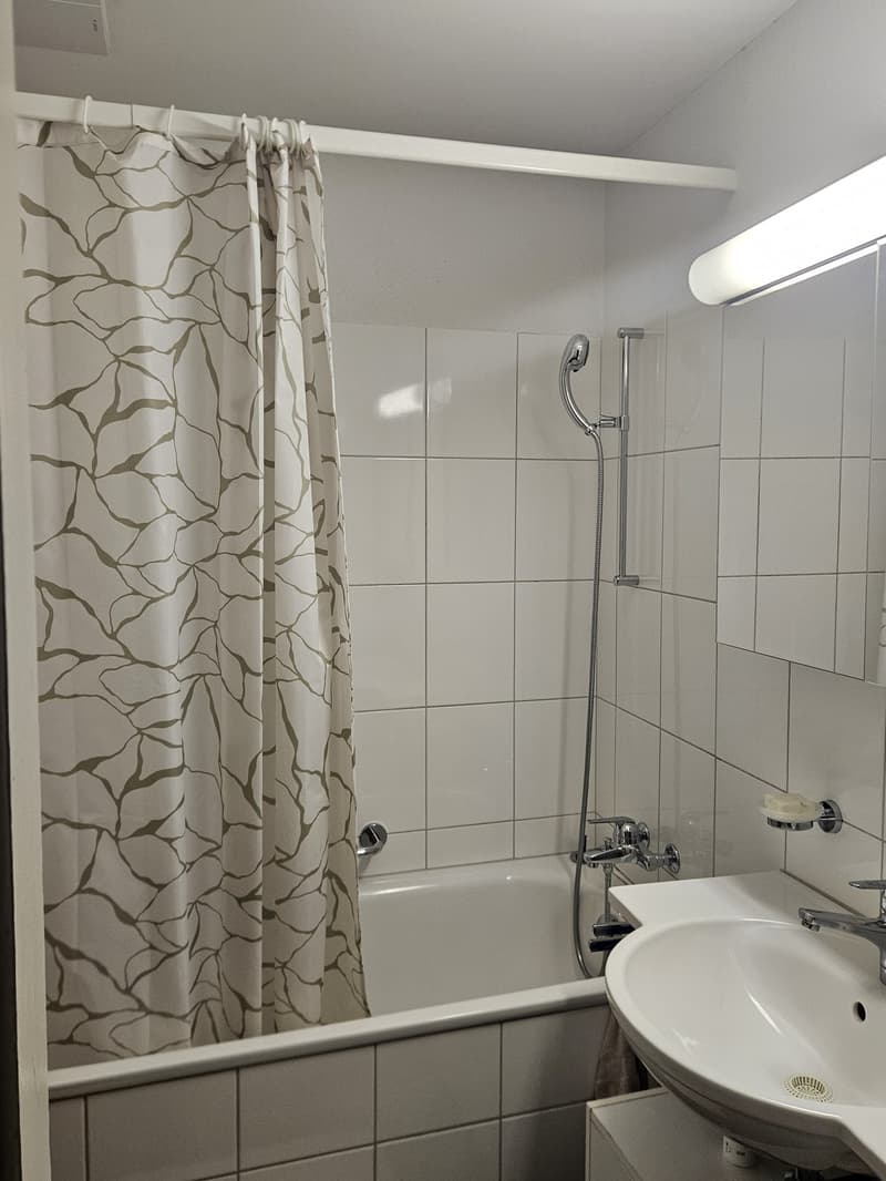 Charmante möblierte 2-Zimmer-Wohnung in Wiedikon zur Untermiete (8)