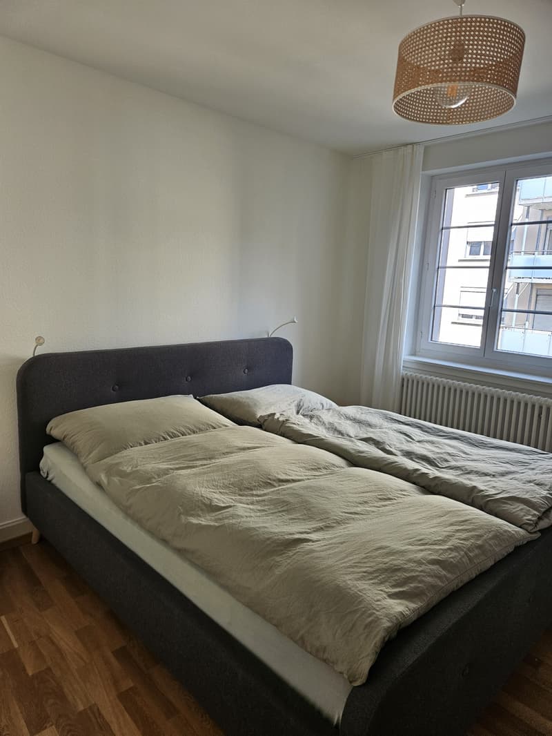 Charmante möblierte 2-Zimmer-Wohnung in Wiedikon zur Untermiete (11)