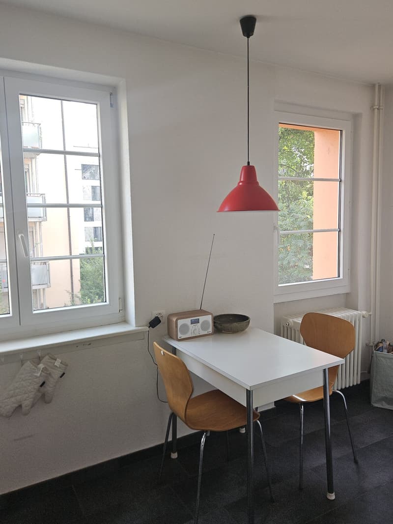 Charmante möblierte 2-Zimmer-Wohnung in Wiedikon zur Untermiete (5)
