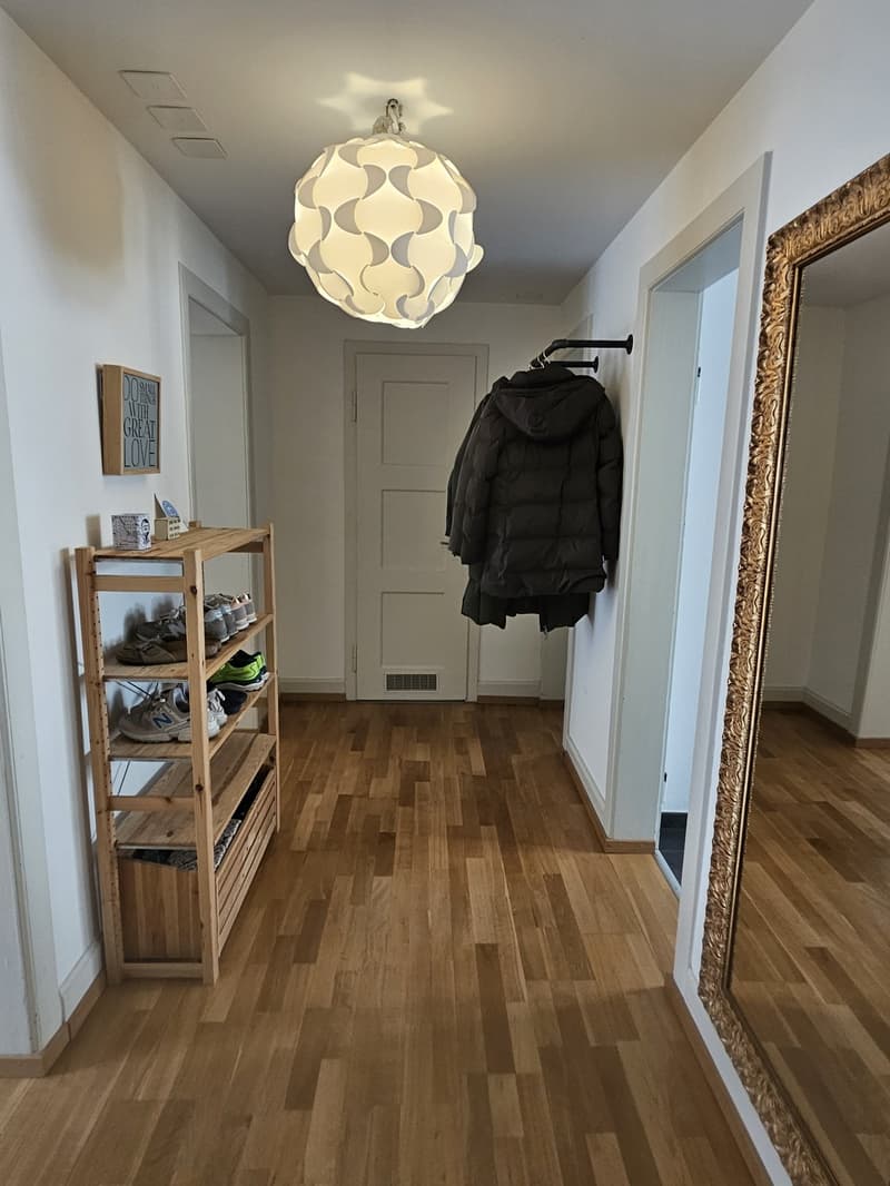 Charmante möblierte 2-Zimmer-Wohnung in Wiedikon zur Untermiete (6)