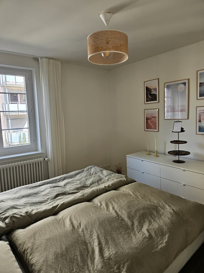 Charmante möblierte 2-Zimmer-Wohnung in Wiedikon zur Untermiete (10)