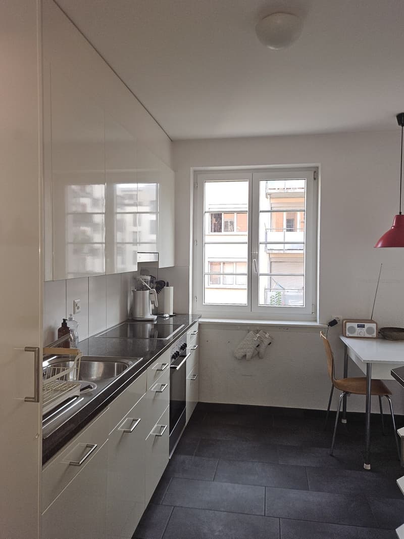 Charmante möblierte 2-Zimmer-Wohnung in Wiedikon zur Untermiete (4)