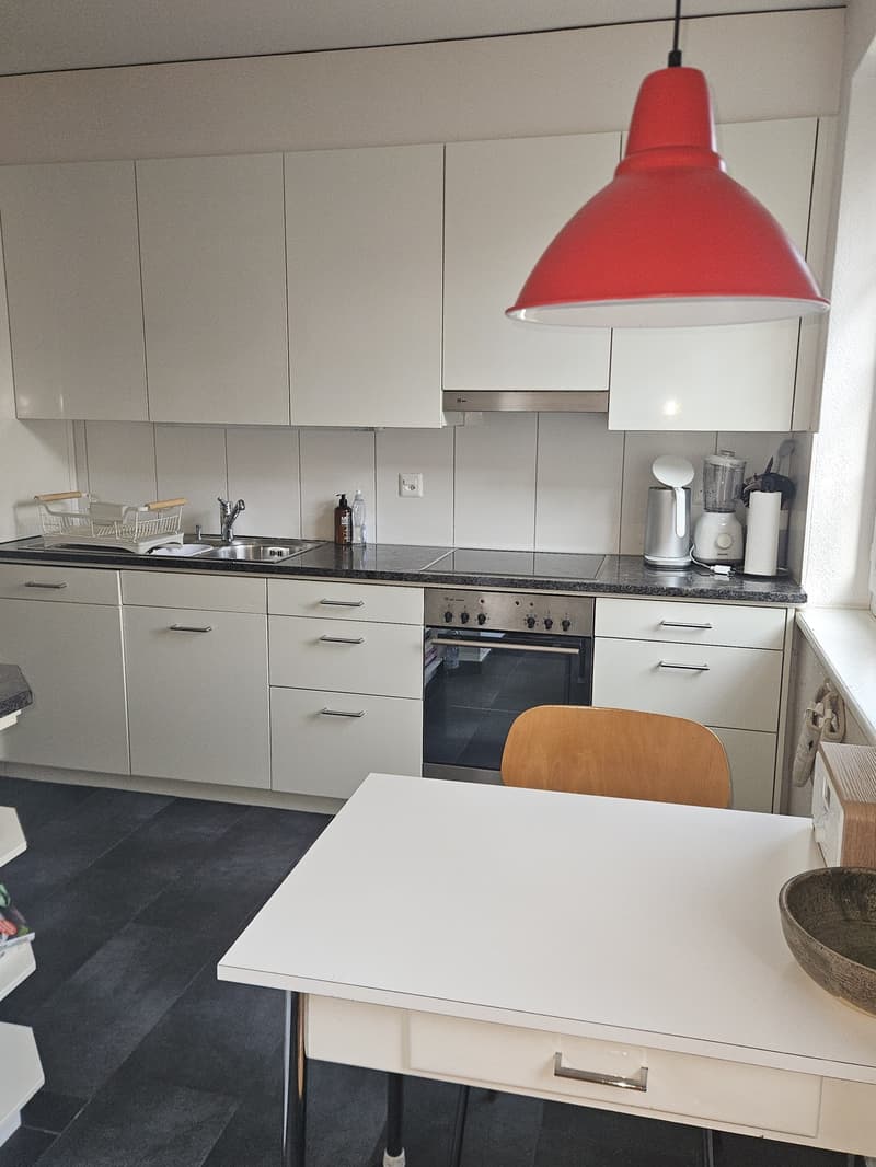 Charmante möblierte 2-Zimmer-Wohnung in Wiedikon zur Untermiete (3)