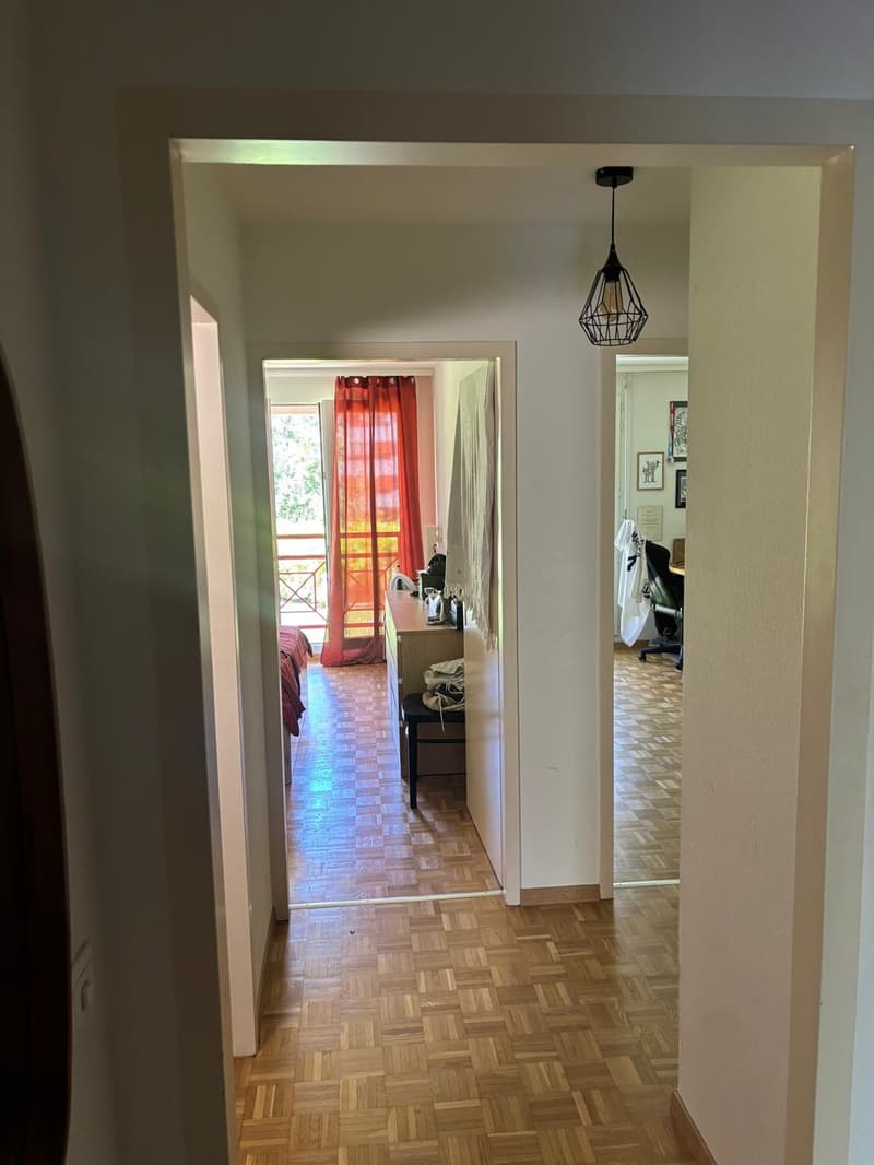 Appartement 4 pièces, 1205 Genève (12)