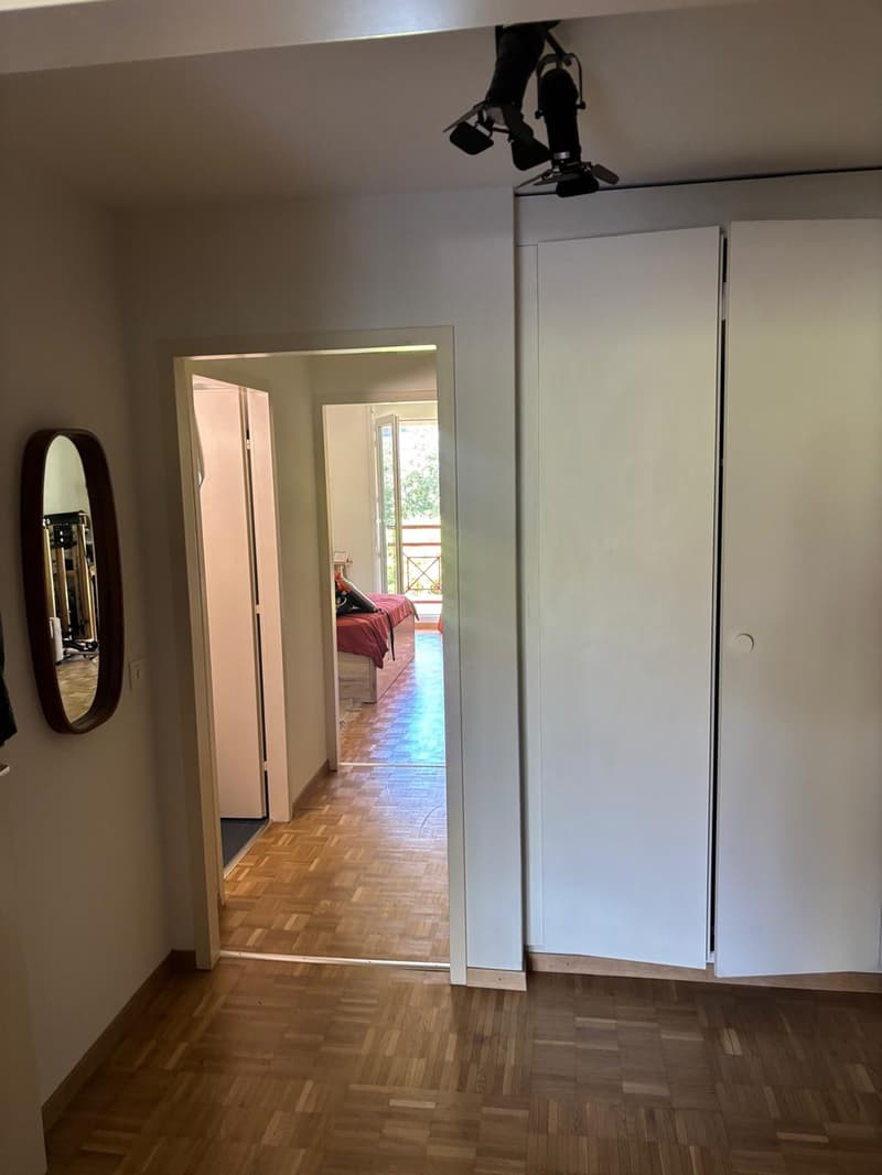Appartement 4 pièces, 1205 Genève (6)