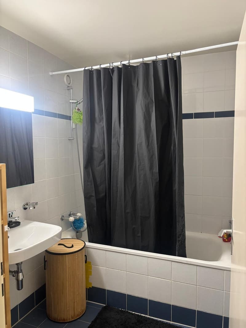 Appartement 4 pièces, 1205 Genève (11)