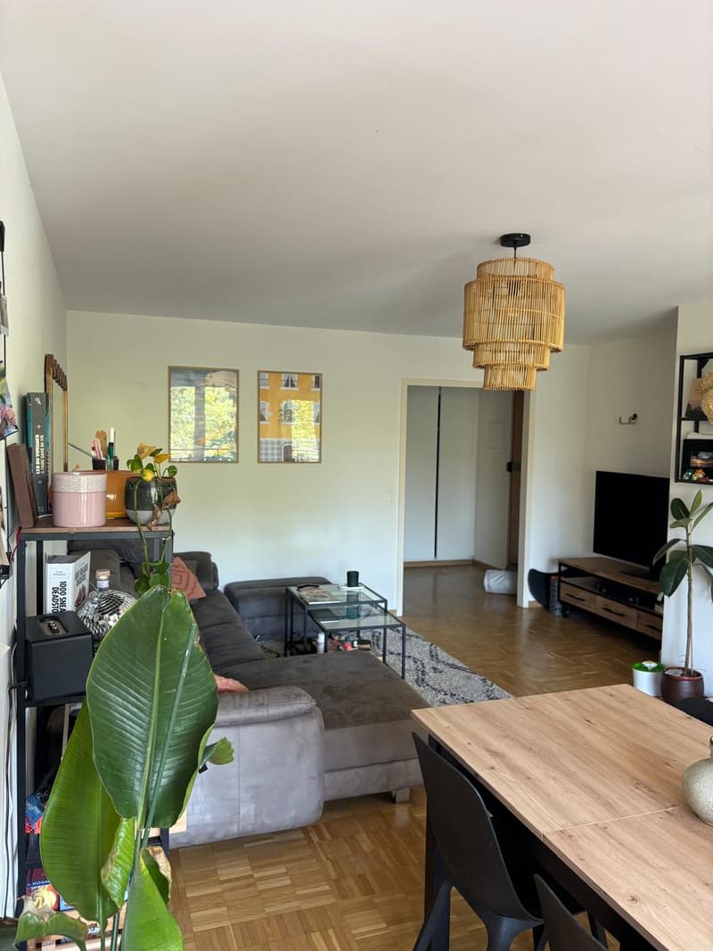 Appartement 4 pièces, 1205 Genève (2)