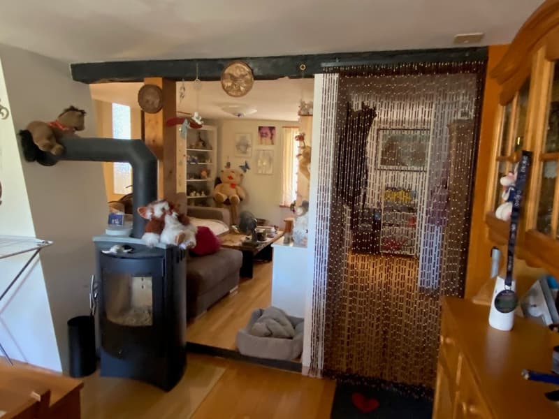 Gemütliche 3 1/2 Zimmer-Wohnung in Riegelhaus im Grünen (1)