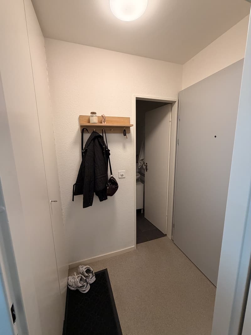 1 ½ rooms apartment, 4127 Birsfelden (4)