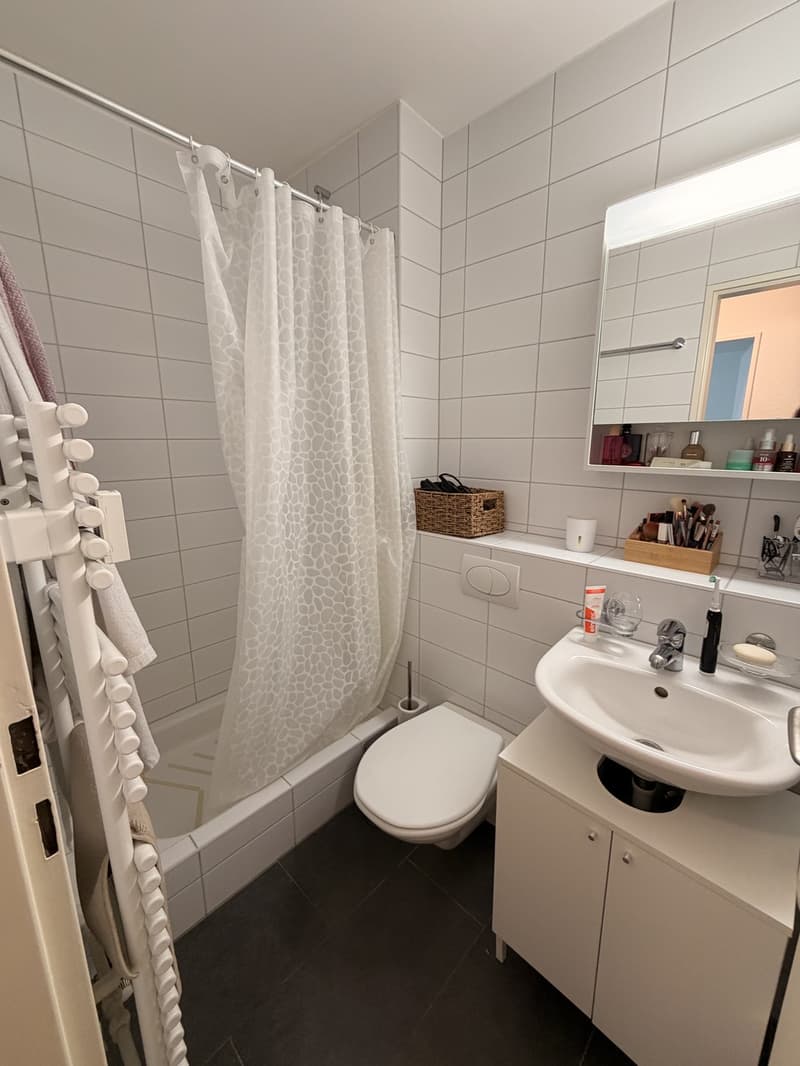 1 ½ rooms apartment, 4127 Birsfelden (5)