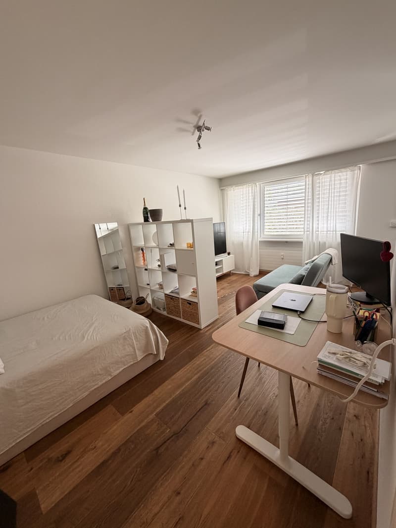 1 ½ rooms apartment, 4127 Birsfelden (1)