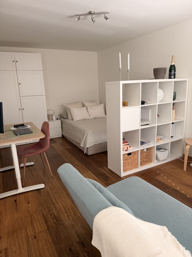 1 ½ rooms apartment, 4127 Birsfelden (2)