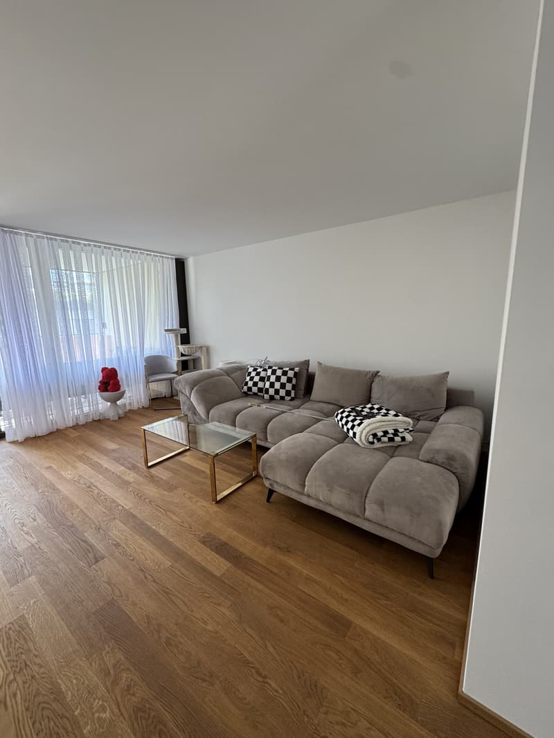 3,5 Zimmer Wohnung (11)