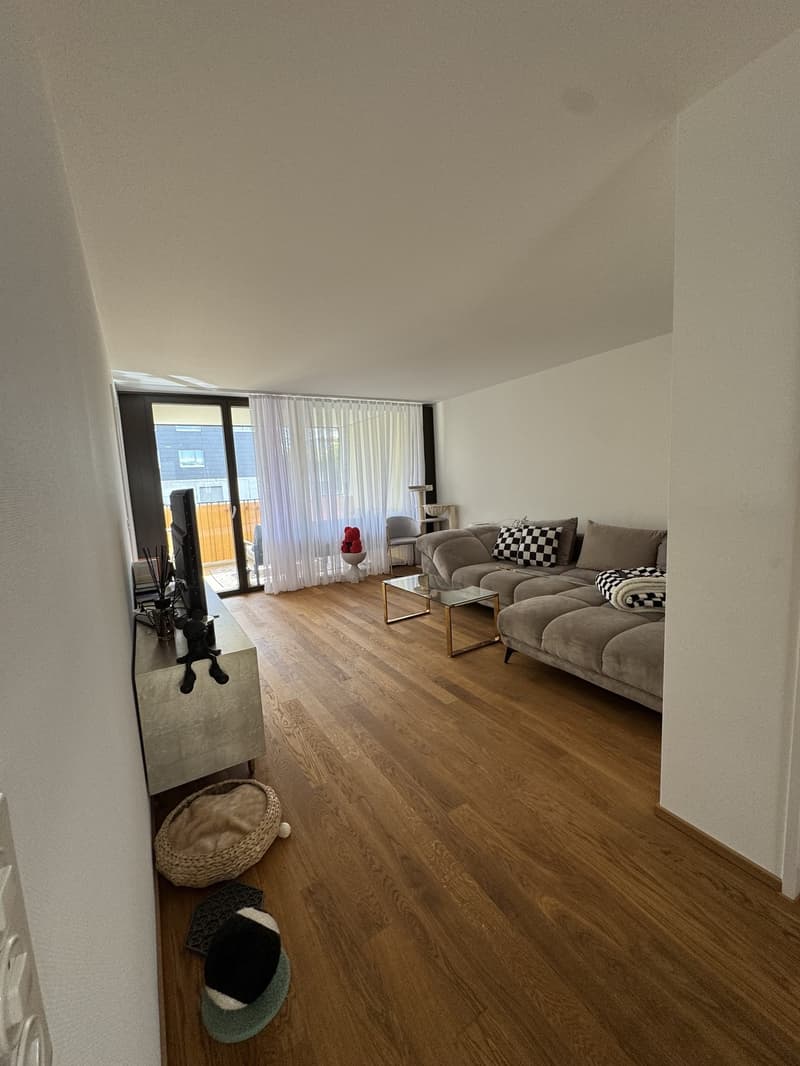 3,5 Zimmer Wohnung (13)