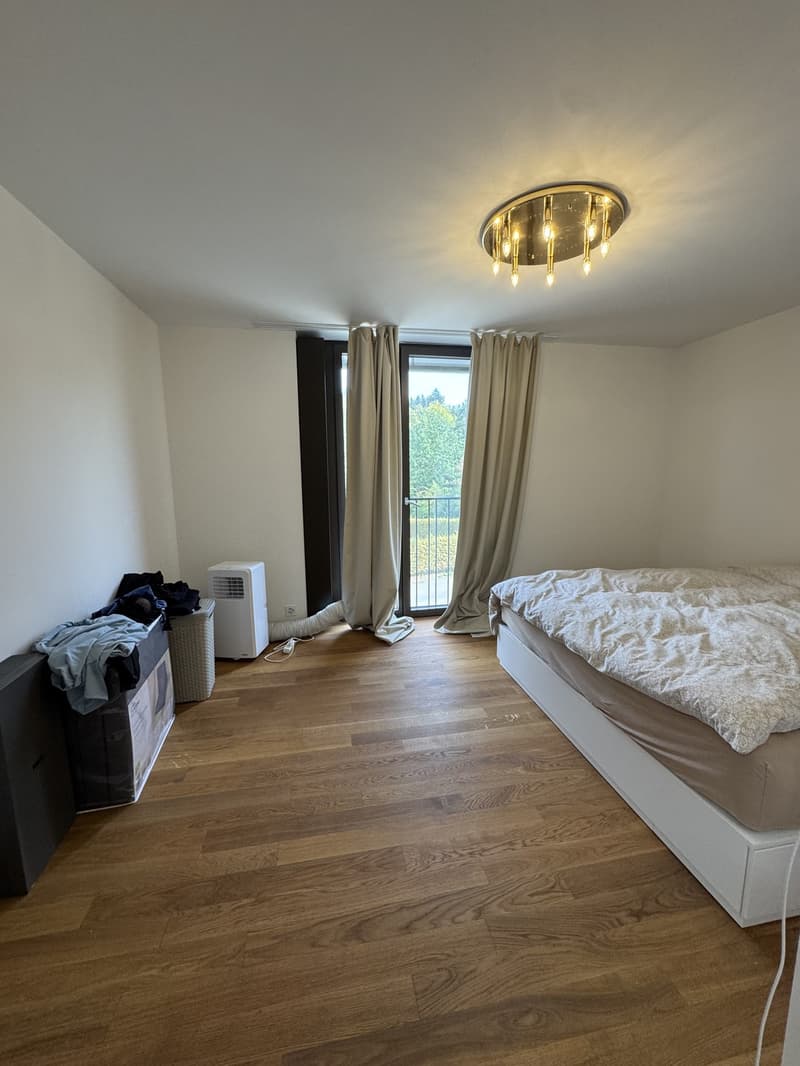 3,5 Zimmer Wohnung (9)