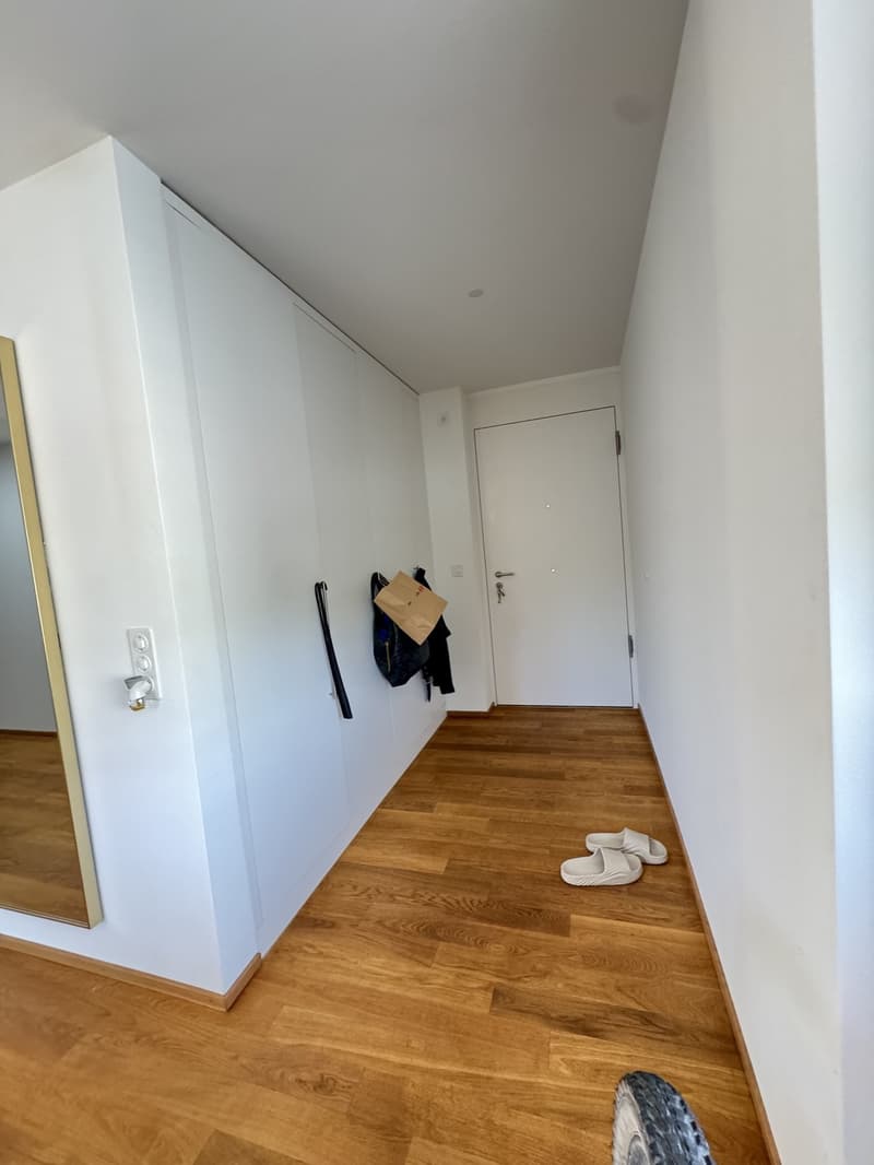 3,5 Zimmer Wohnung (1)
