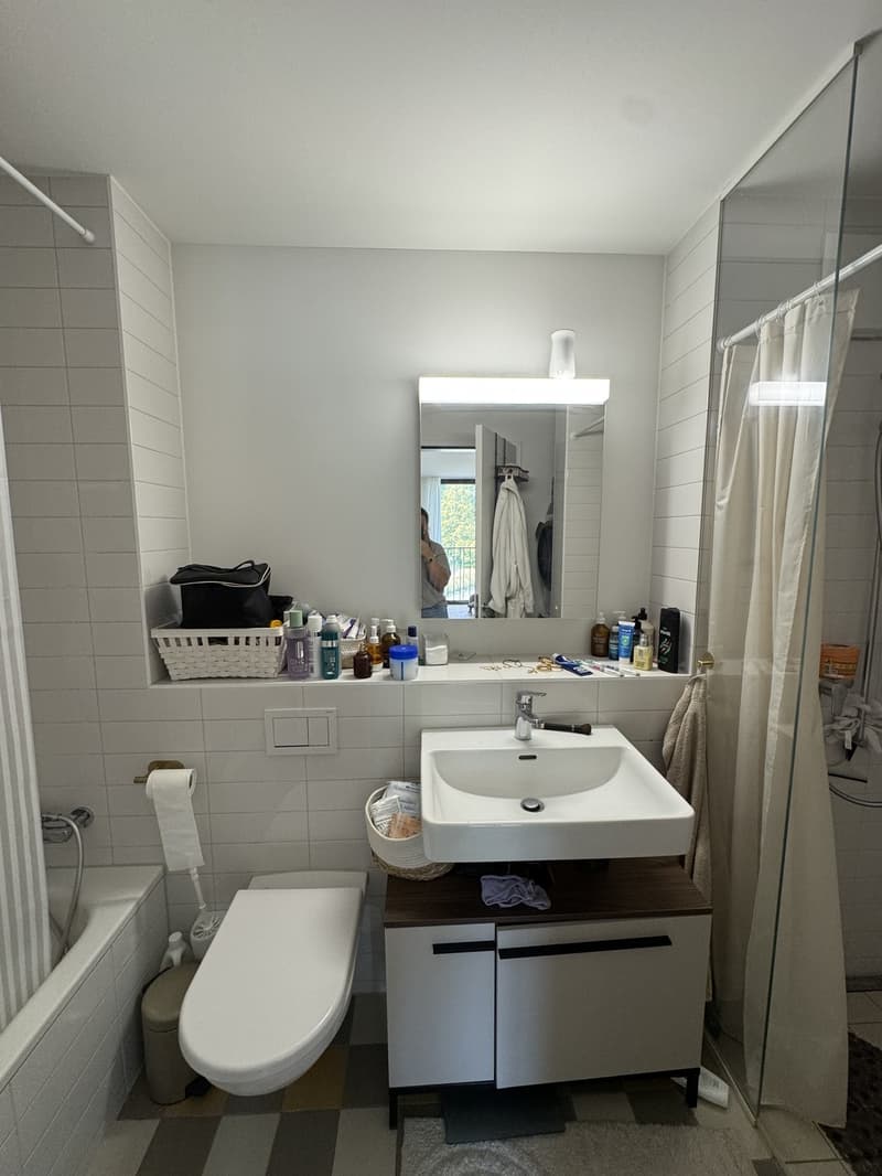 3,5 Zimmer Wohnung (7)