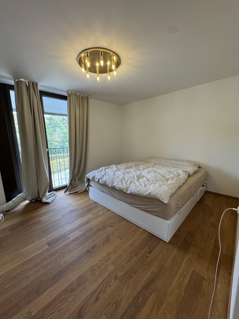 3,5 Zimmer Wohnung (4)
