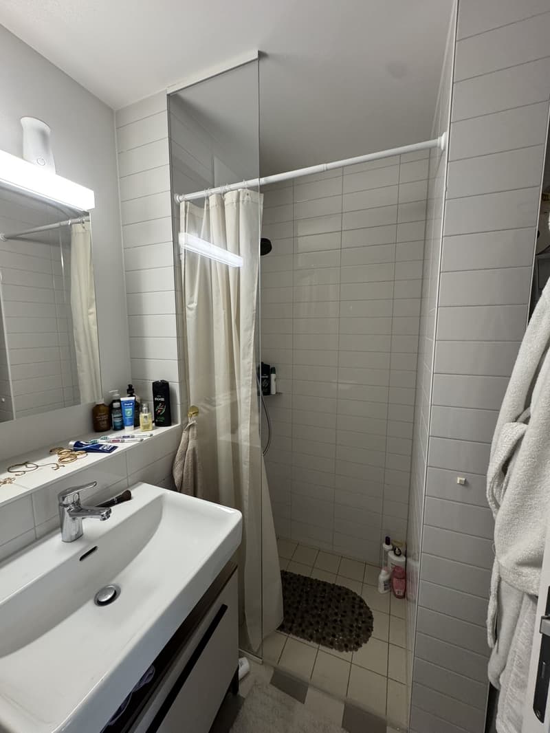 3,5 Zimmer Wohnung (3)