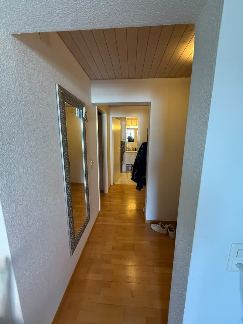 Wohnen am Zürichsee - helle 3-Zimmer-Wohnung mit Balkon & Seeblick in Thalwil befristet vom 01.04.2027 zur Untermiete (9)