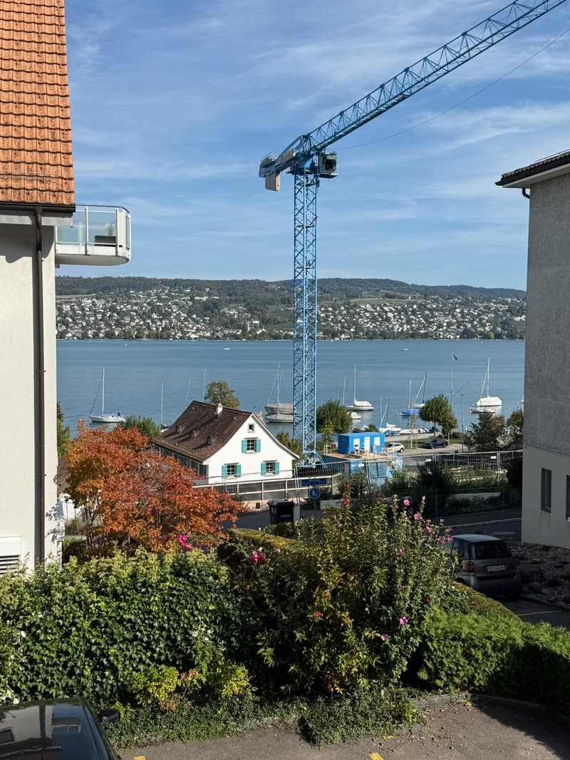 Wohnen am Zürichsee - helle 3-Zimmer-Wohnung mit Balkon & Seeblick in Thalwil befristet vom 01.04.2027 zur Untermiete (2)