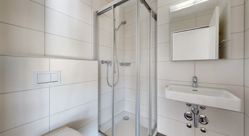 3.5-Zimmer Wohnung mit toller Aussicht, nähe Bahnhof (6)