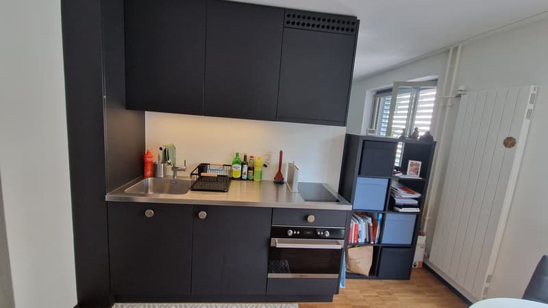 1.5 Zimmer möbiliert befristet 01.11.2026 -15.04.2027 (3)
