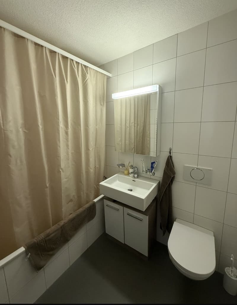 WG-Zimmer Kreis 4 (Helvetiaplatz) (6)
